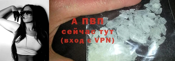 СК Козельск