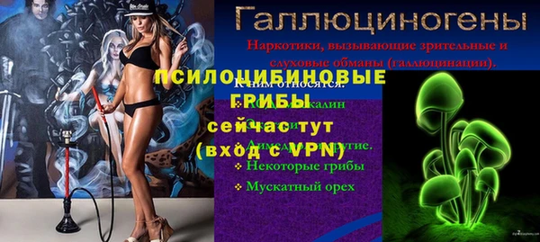 СК Козельск